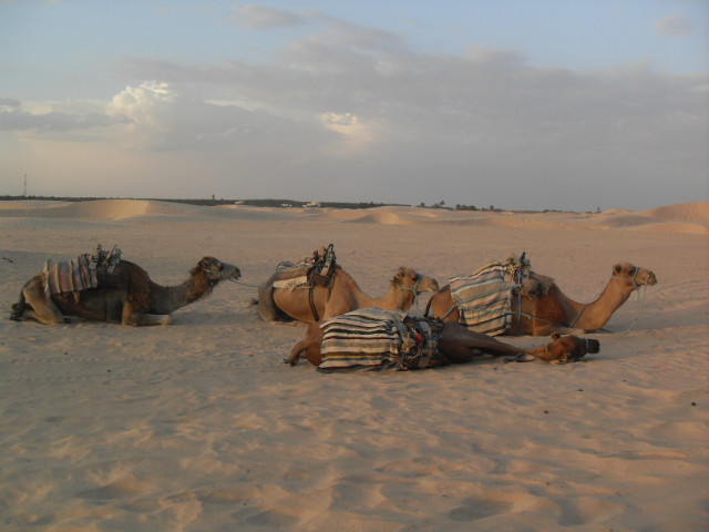  Sahara 2013  ;)