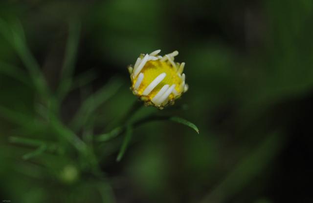 68.