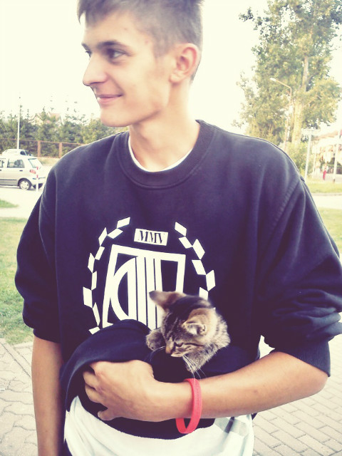 Kotek :D
