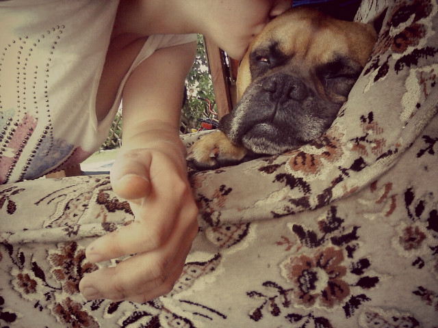 Neron *,*