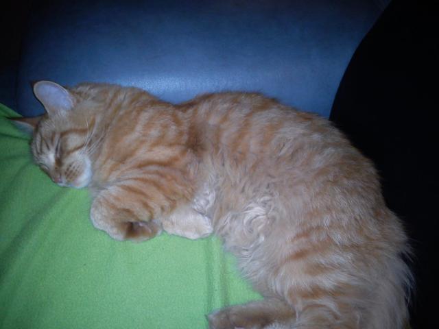 zuzanka :-)