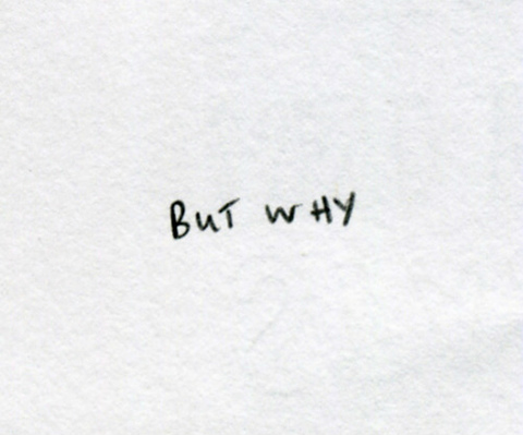 Wpis utracenie