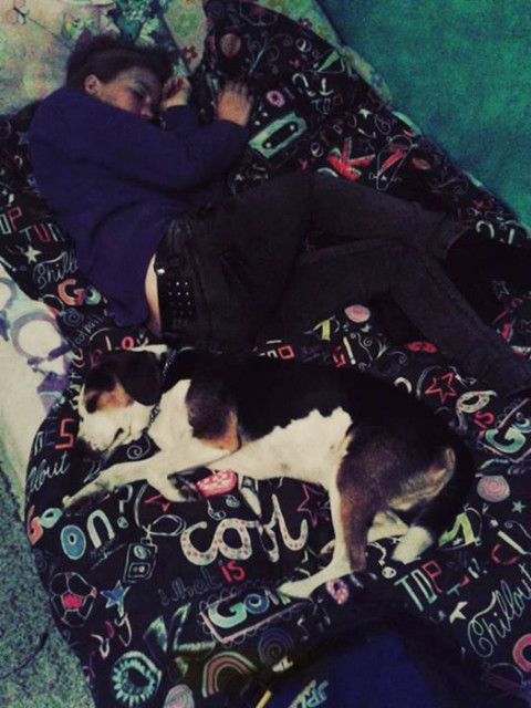 Zzz..Zzz..Zzz