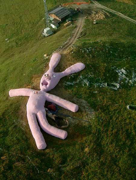 Pink rabbits