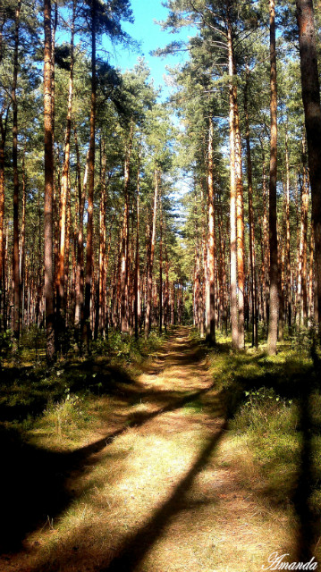 Park krajobrazowy