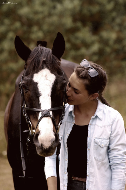 Perfect horse 