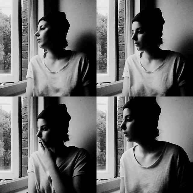 Wpis becomewild