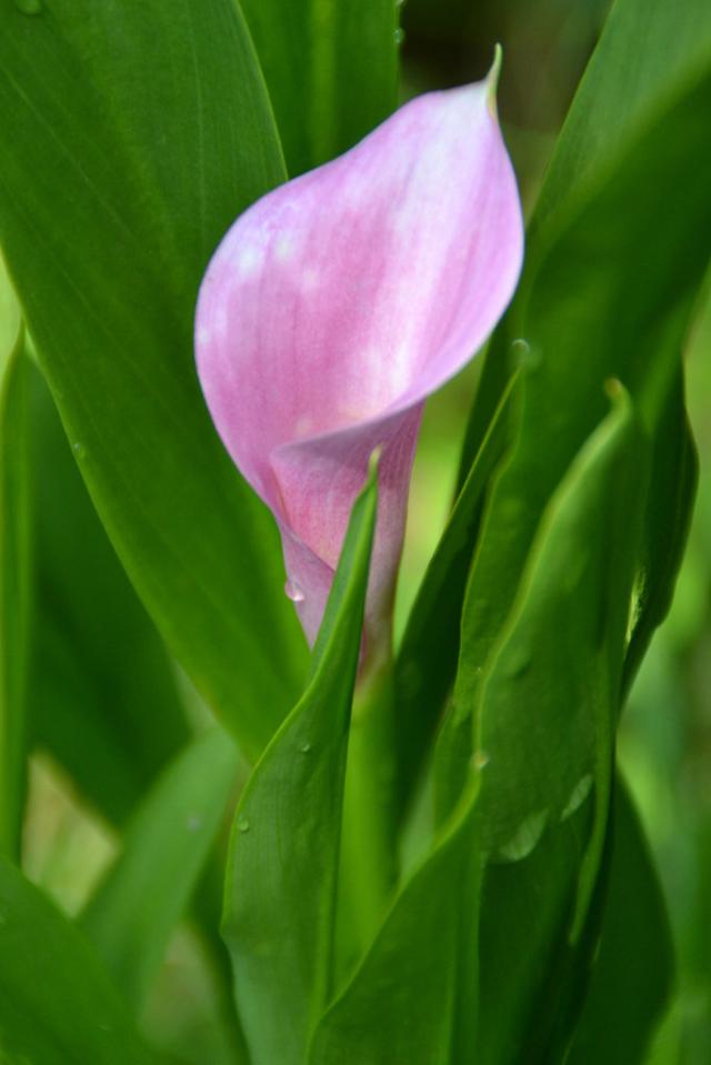 033