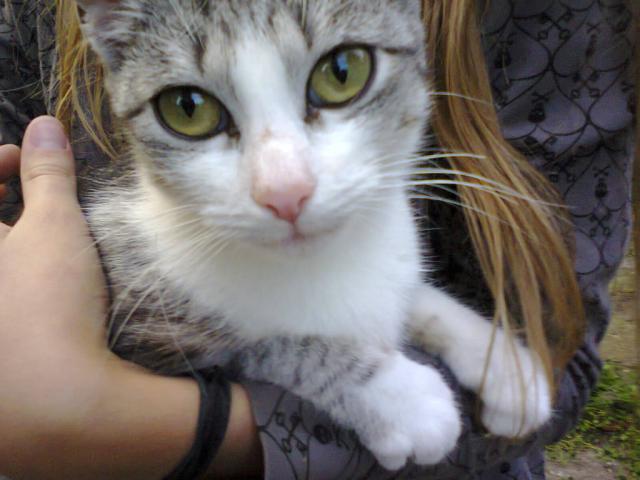 byle do pitku