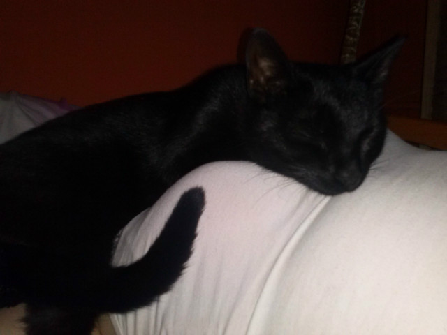 She.