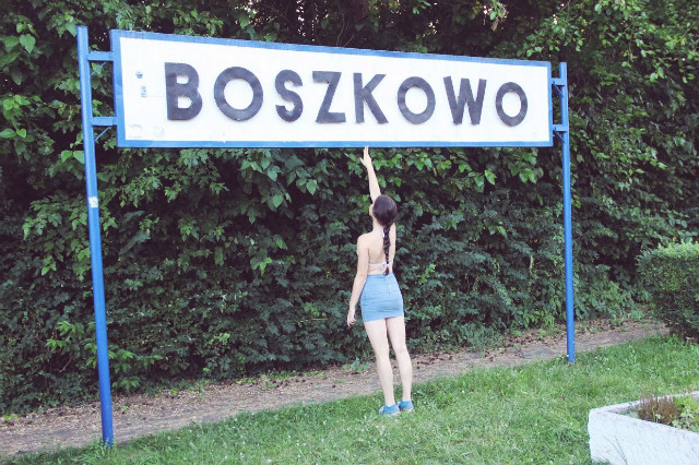 Wpis pieguski