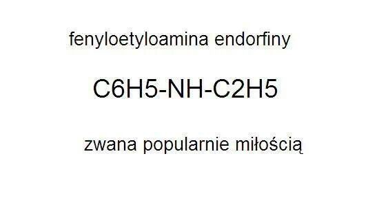 Wpis snog