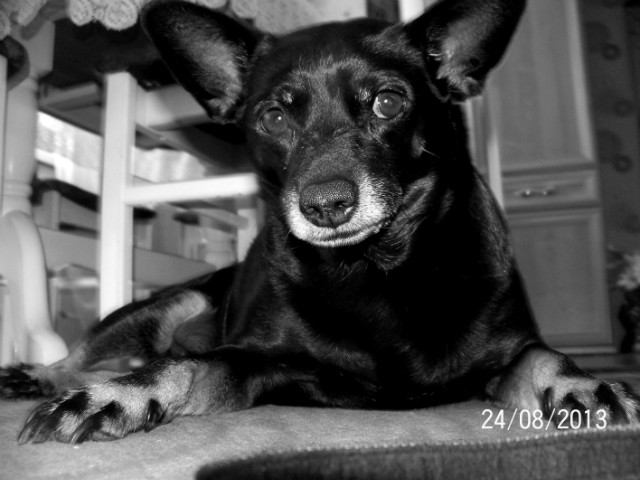 Pola ! :D 