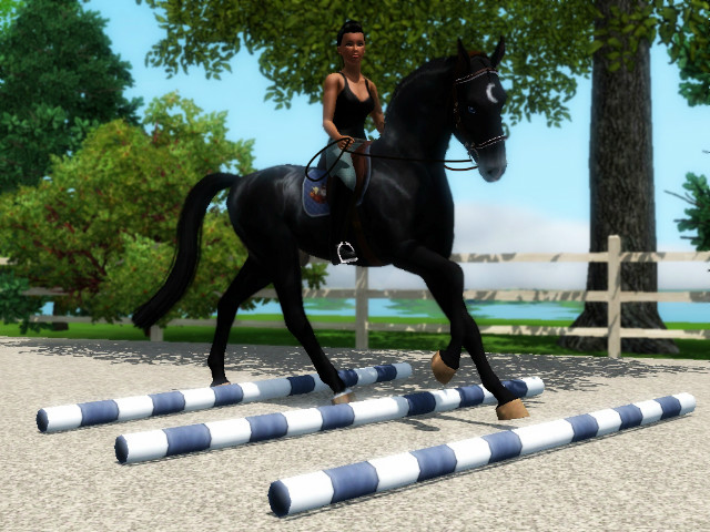 Wpis cavallosim12