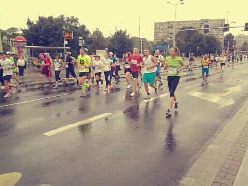 Wpis poziommoimbogiem