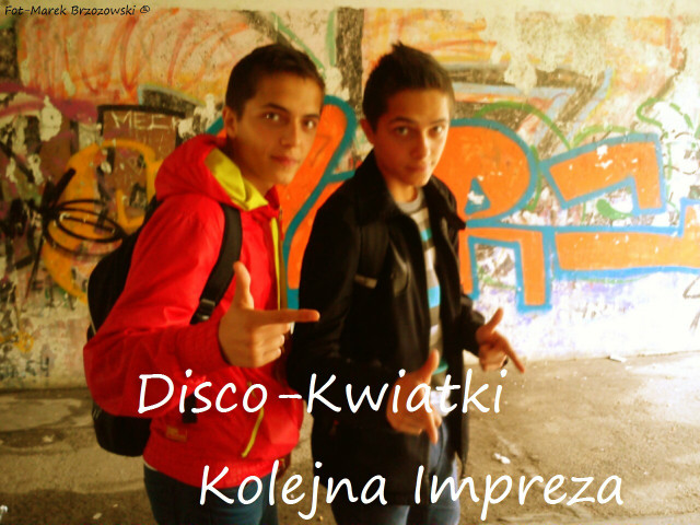 Disco-Kwiatki