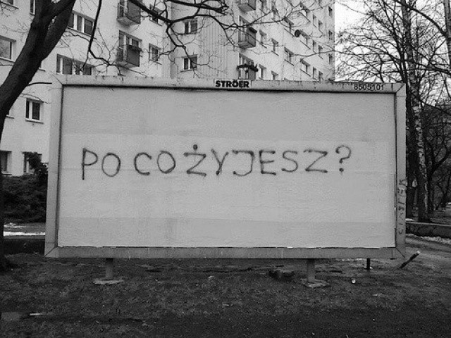 Wpis zapachnieba