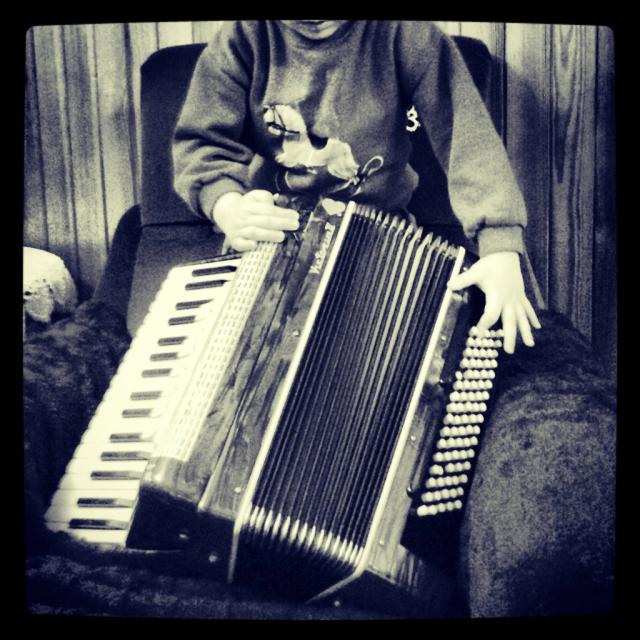 Old accordion 
