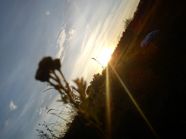 Wpis klaaudiaaphotography