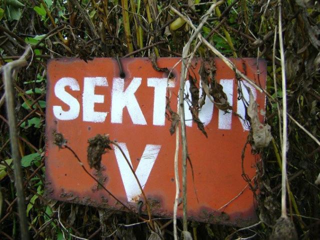 Sektor pity