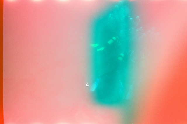 Diving