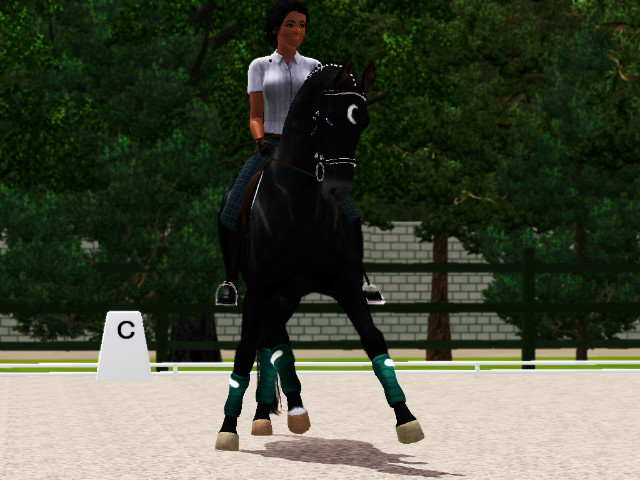 Wpis cavallosim12