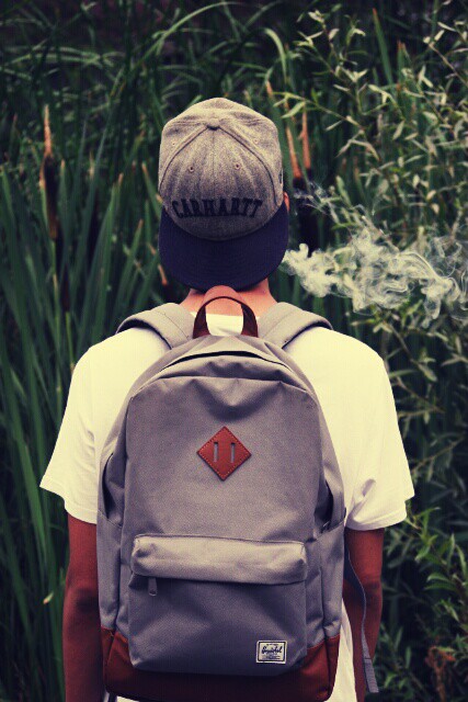 Wpis zr0bsvlut