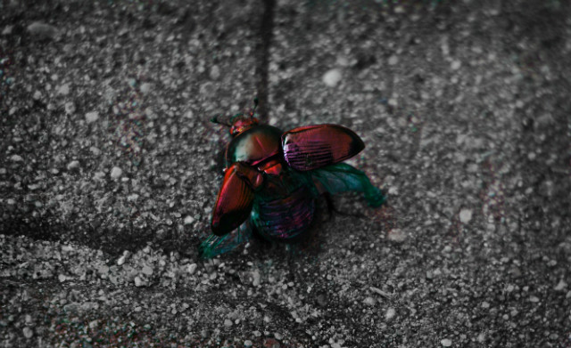195.