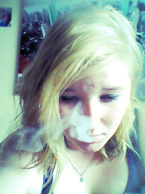 pitek.
