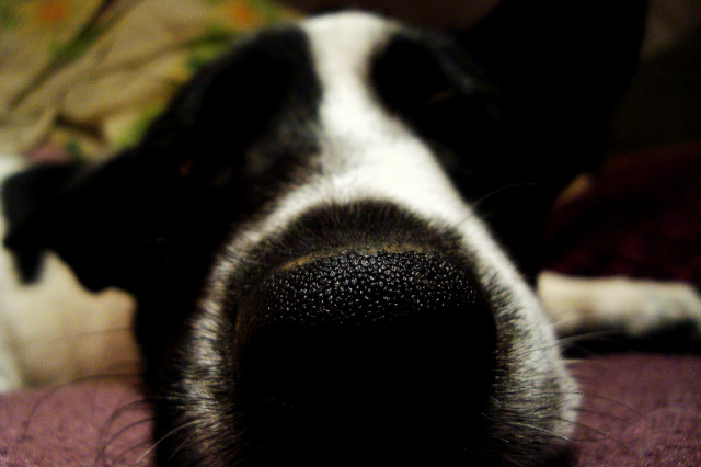 &#9829;