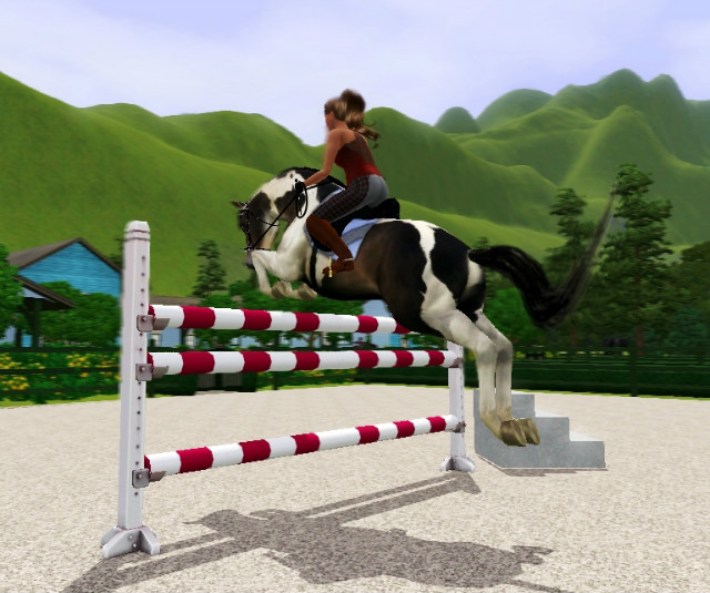 Wpis cavallosim12