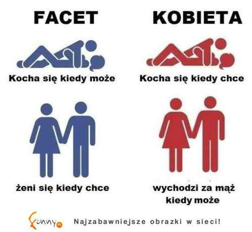 Wpis mcfilip