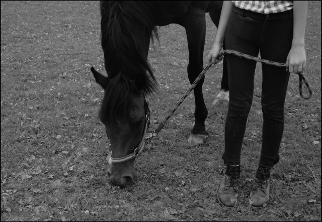 Horse&Love.
