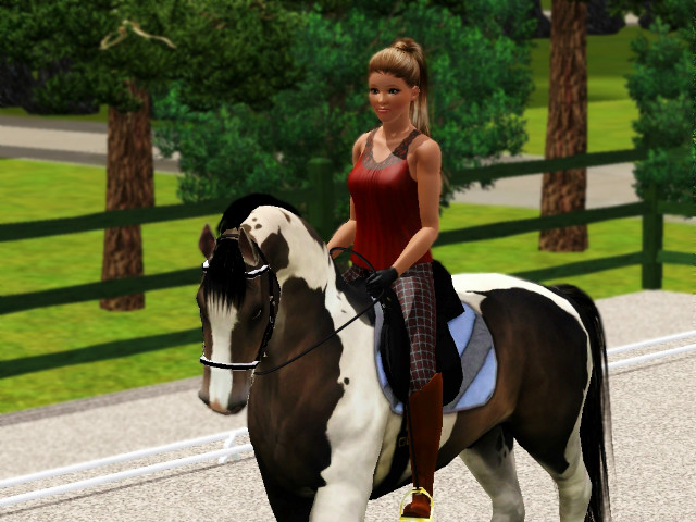 Wpis cavallosim12