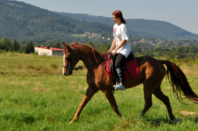 Wpis karola6693