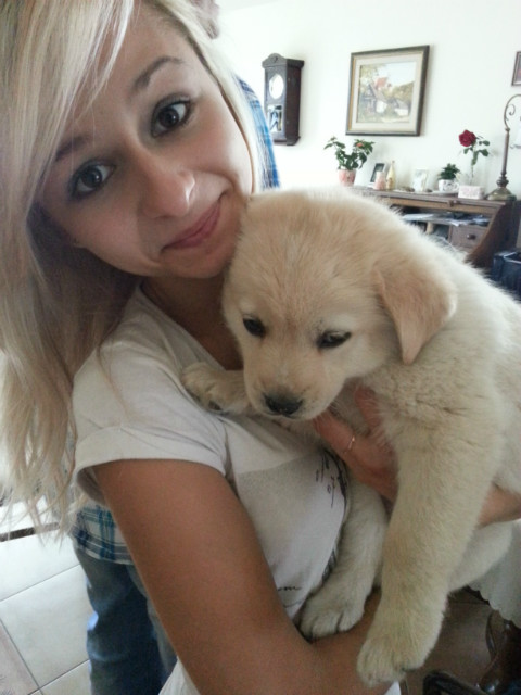 inlove