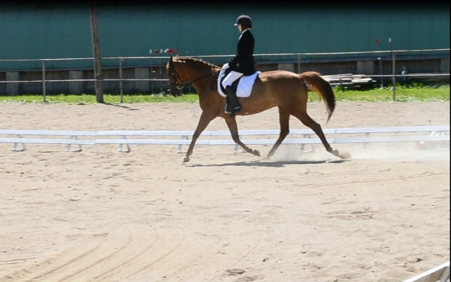 gienki 2012