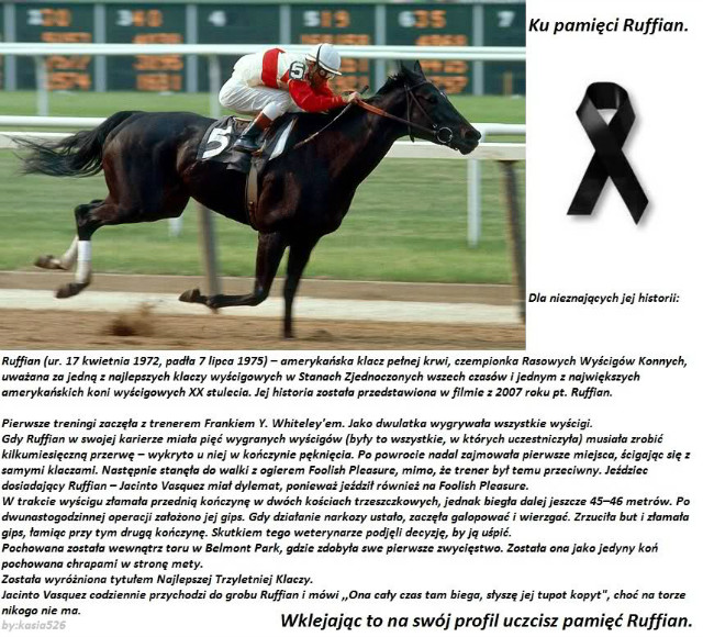 Ruffian 
