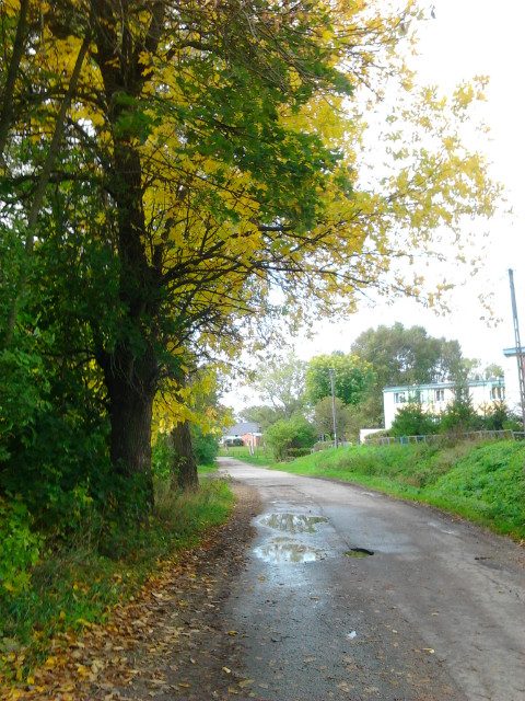 Wpis pokazmijezor