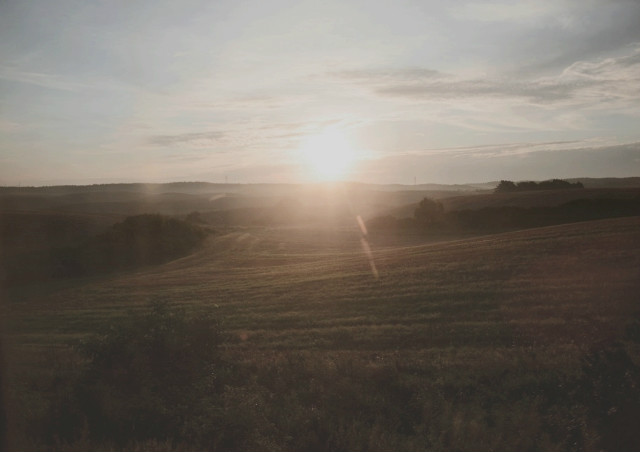 Wpis antycznie