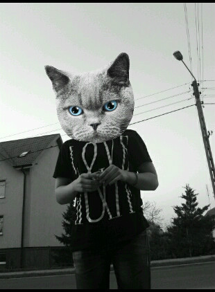 Wpis skateinka