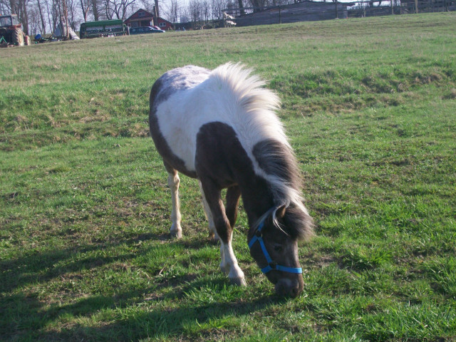 Missi :)