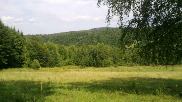 Wpis zawszesp