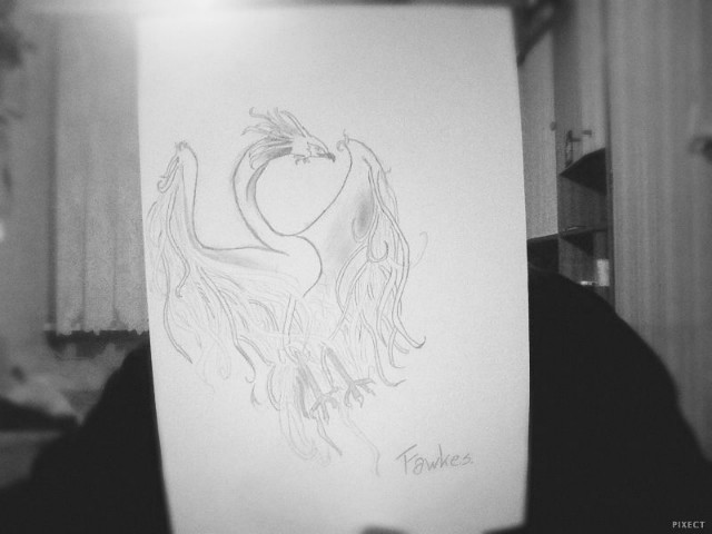 fawkes.