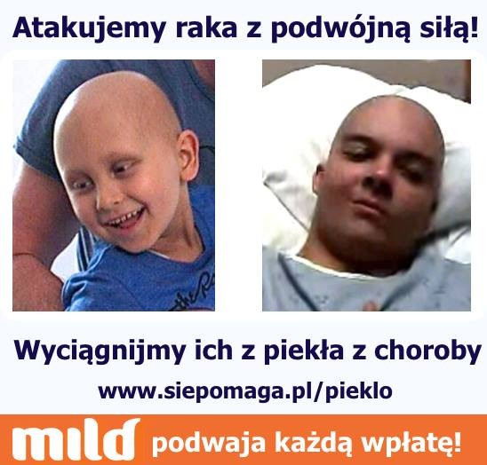 Wpis 2212mucha