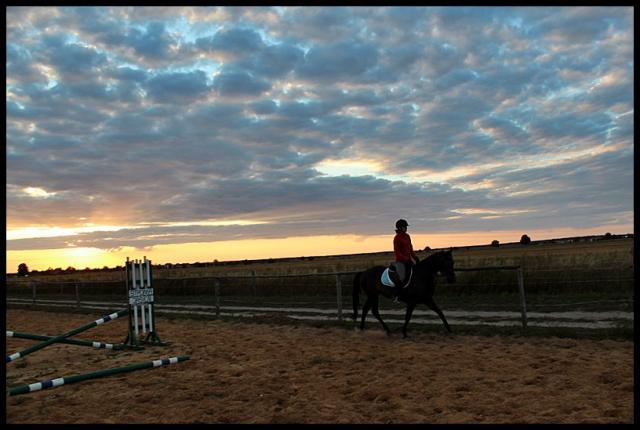 Wpis horses6