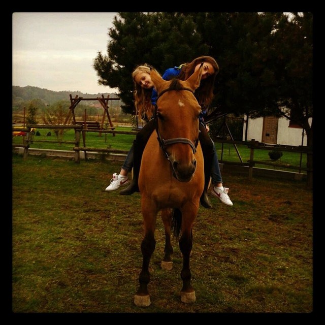 ZOLTAREEK *-*