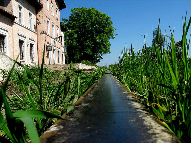 PKP Wschowa (2009)