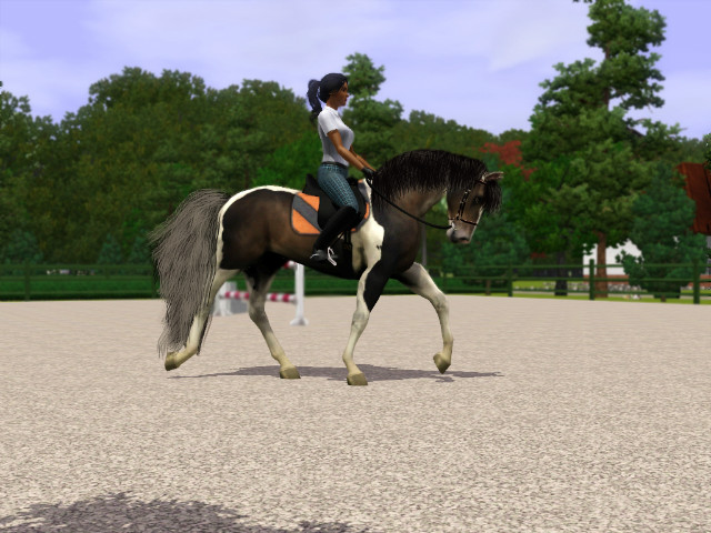 Wpis cavallosim12
