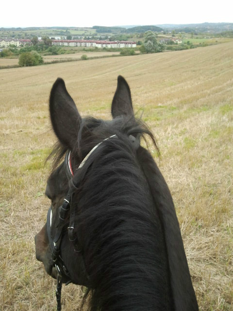 Terenowo :)